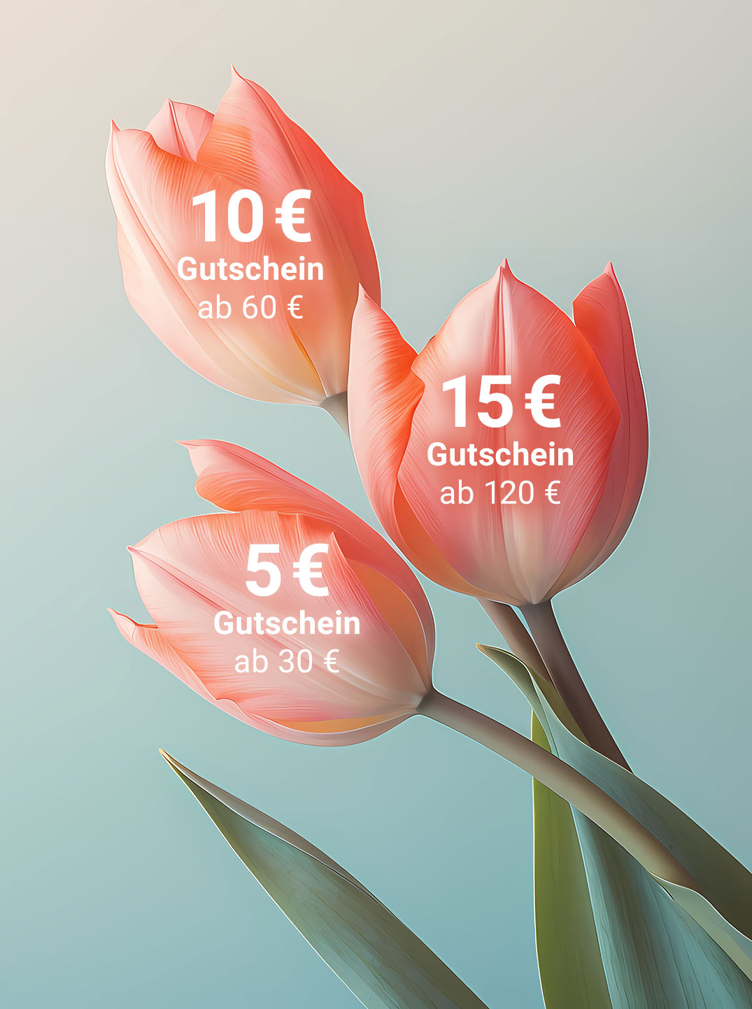 5€ Gutschein ab 30€, 10€ Gutschein ab 60€, 15€ Gutschein ab 120€